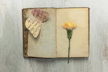 Open old book with carnation flower and paper butterfly