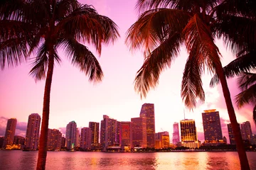 Washable wall murals American Places Miami Florida skyline and bay at sunset through two palm trees. 