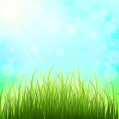 Spring solar background and tender grass. The awakening of natur