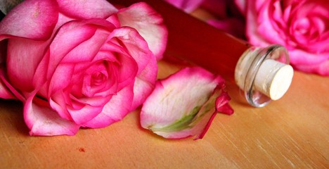 rosen und rosenöl