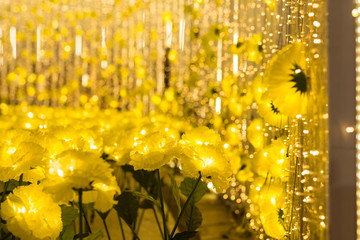 yellow flowers with bokeh abstract, x'mas