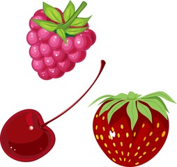 Obraz premium Red berries set