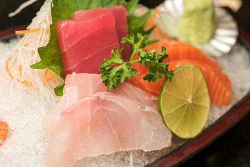 Sashimi japanese food