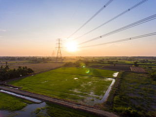 Aerial View of High Volyage Electricity Tower on Green Rice Fiel