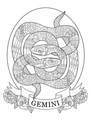 Gemini zodiac sign coloring book for adults vector