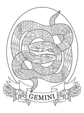 Gemini zodiac sign coloring book for adults vector