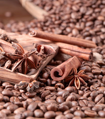 roasted coffee beans with spices