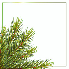 Card with lush branches on white background.Isolated on white background. Christmas vector illustration. vector