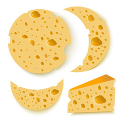 cheese pieces set on white background. food. vector illustration