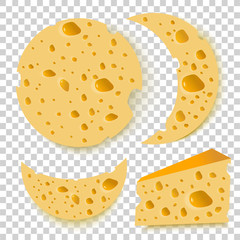 set of cheese on transparent background. vector