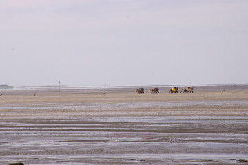 Wattwagenfahrt