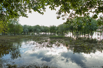 flooded area