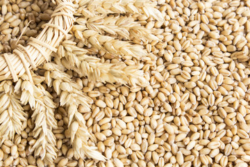 Wheat Grains and a Wreath of Wheat Ears