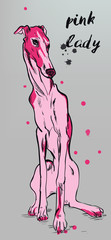 pink cute dog