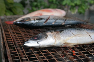 Fisch Barbecue