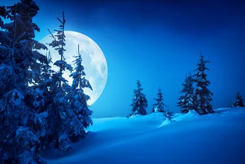 Foto op Plexiglas Karpatische maanverlichte nacht © Bashkatov