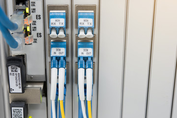 optic fiber connected to switch.