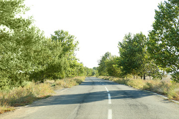 Beautiful landscape with road and trees