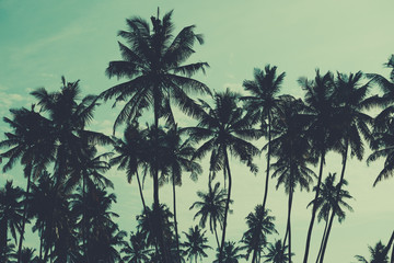 Fototapeta na wymiar Palm trees on tropical beach, vintage toned and retro color stylized