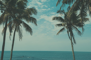 Naklejka premium Palm trees on tropical shore above the ocean, vintage toned and retro color stylized