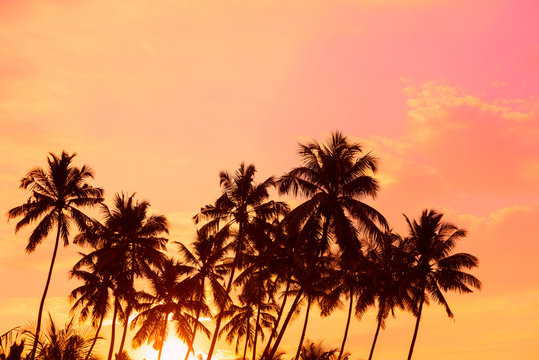 Palm trees on tropical beach at sunrise time