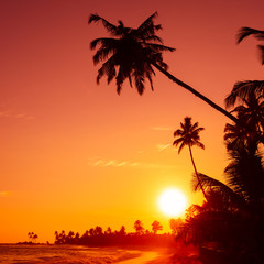 Obraz na płótnie Canvas Sunset on tropical beach