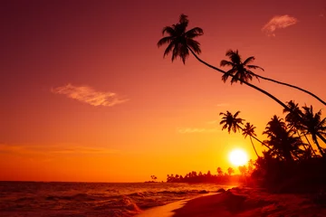 Raamstickers Tropisch strand Zonsondergang op tropisch strand