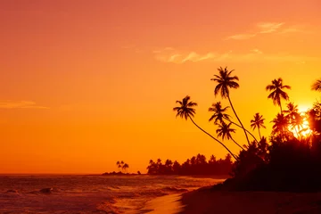 Crédence de cuisine en verre imprimé Plage et mer Coucher de soleil sur la plage tropicale