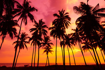 Plakat Palm trees silhouettes on tropical beach at vivid sunset time