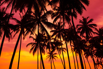Obraz na płótnie Canvas Palm trees silhouettes on tropical beach at vivid sunset time