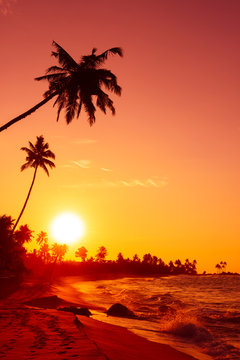 Sunset on tropical beach with big sun circle over the horizon and palm trees silhouettes