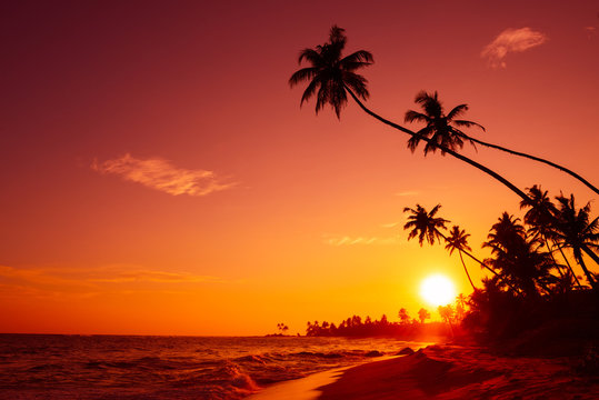 Fototapeta Sunset on tropical beach