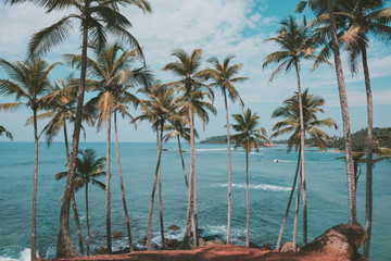 Fototapety  Palmy na tropikalnej plaży, stonowane w stylu vintage i stylizowane na kolor retro
