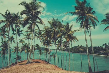 Stickers fenêtre Plage tropicale Palm trees on tropical beach, vintage toned and retro color stylized
