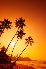 Sunset on tropical beach