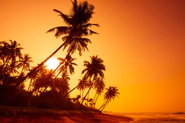 Obraz na płótnie Canvas Sunset on tropical beach