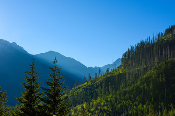 Fototapeta premium Sunrise in Tatra mountains, lesser Poland, Europe