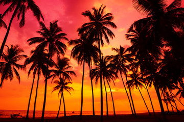 Naklejka na ściany i meble Palm trees silhouettes on tropical beach at vivid sunset time