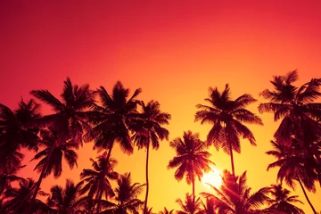 Photo sur Plexiglas Palmier Silhouettes de palmiers sur la plage tropicale à l& 39 heure du coucher du soleil chaud et vif d& 39 été avec un ciel clair et un cercle de soleil avec des rayons