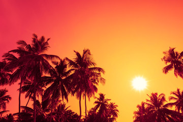 Palm trees silhouettes on tropical beach at summer warm vivid sunset time with clear sky and sun...