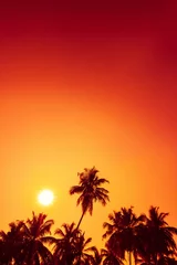 Aluminium Prints Red 2 Palm trees silhouettes on tropical beach at summer warm vivid sunset time with clear sky as copy space and sun circle with rays