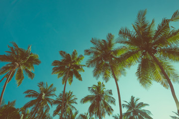 Tropical exotic coconut palm trees retro color stylized