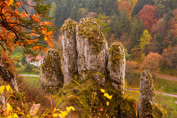 Rock weathered as palm fingers, called the white hand rock, at Ojcow nathional park near Krakow, Poland