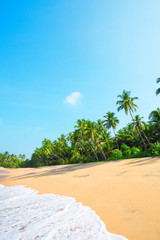 Beautiful beach on tropical island with coconut palm trees and clean sand at clear sunny summer day
