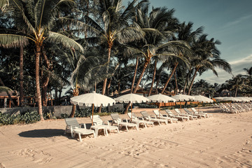 Loungers with parasols on the beach.