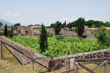Fototapeta na wymiar Pompei Italia - La Città Eterna 