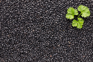 Food and cookery background of healthy dried  black lentils.