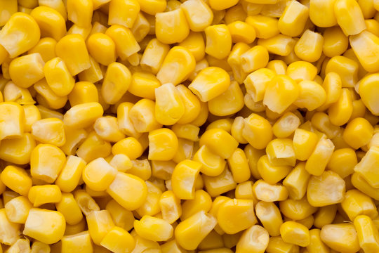 Bulk of yellow corn grains texture.