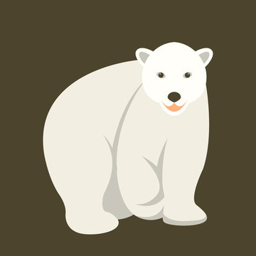 Polar Bear  vector illustration style  Flat