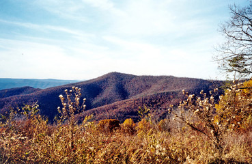 Fototapeta premium Shenandoah autumn landscape 2000